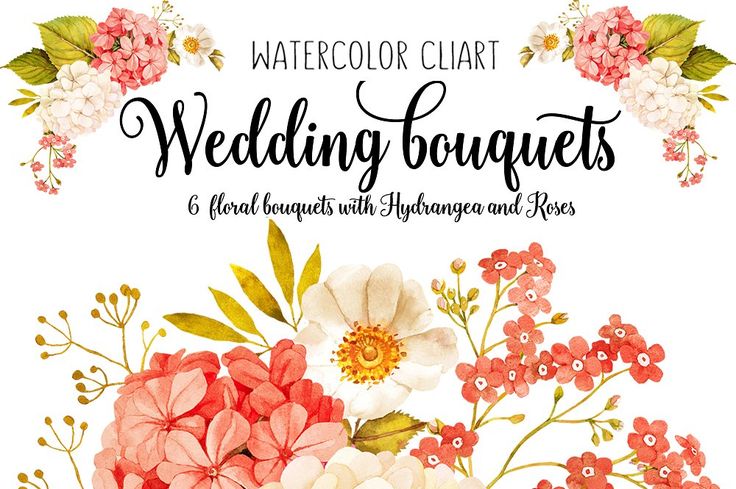 736x489 132 Best Watercolor Flower Clip Art Images On Blue