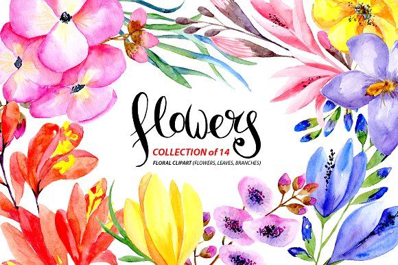 580x386 Watercolor Flowers And Branches Watercolor, Watercolor Drawing