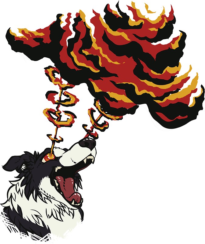 673x800 Border Collie Stare Stickers By Abberati Redbubble
