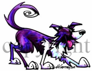 300x231 Border Collie