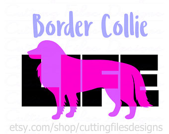 340x270 Border Collie Svg Etsy