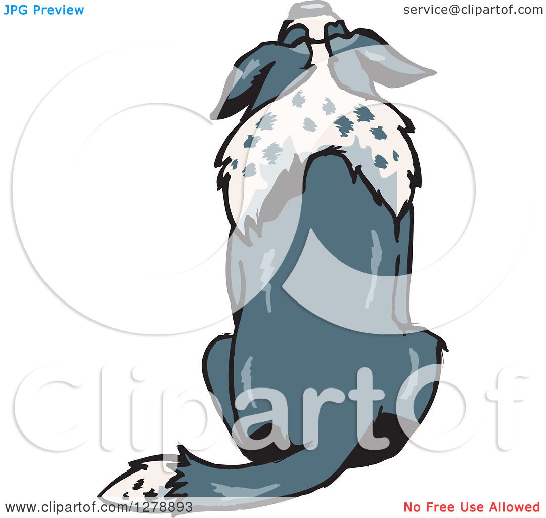 1080x1024 Clipart Of A Rear View Of A Sitting Border Collie Dog 2
