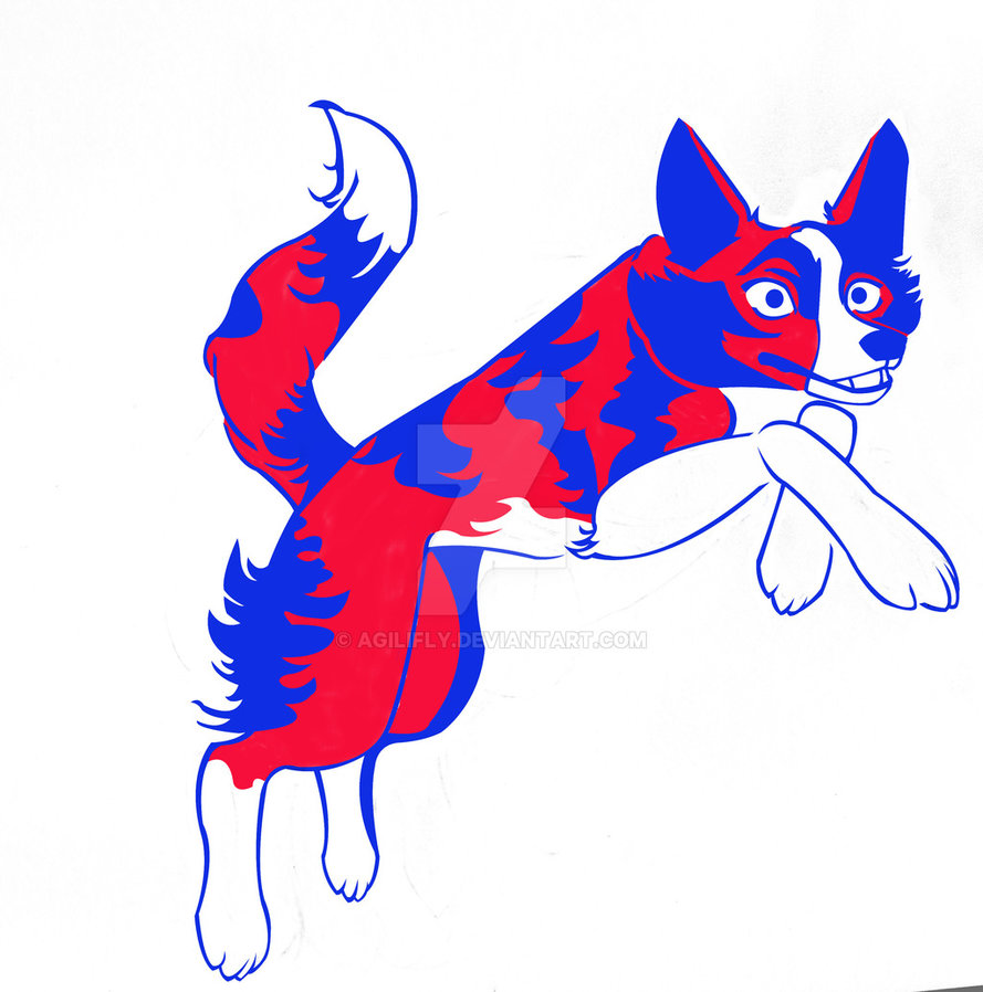 889x898 Stylized Border Collie By Agilifly