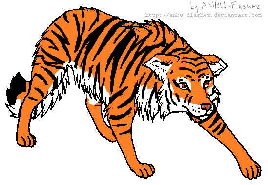 549x379 Tiger Border Collie Closed By Senpaikouhaiadopts