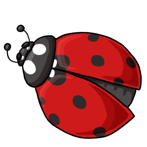 500x500 Beelte Clipart Red Bug