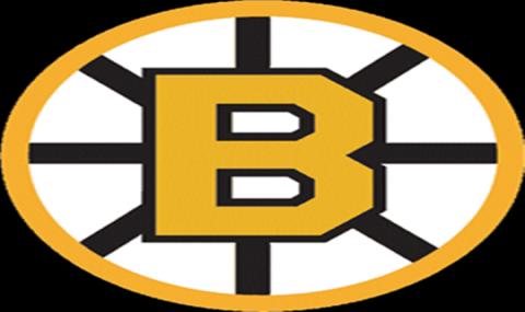 480x285 Boston Bruins