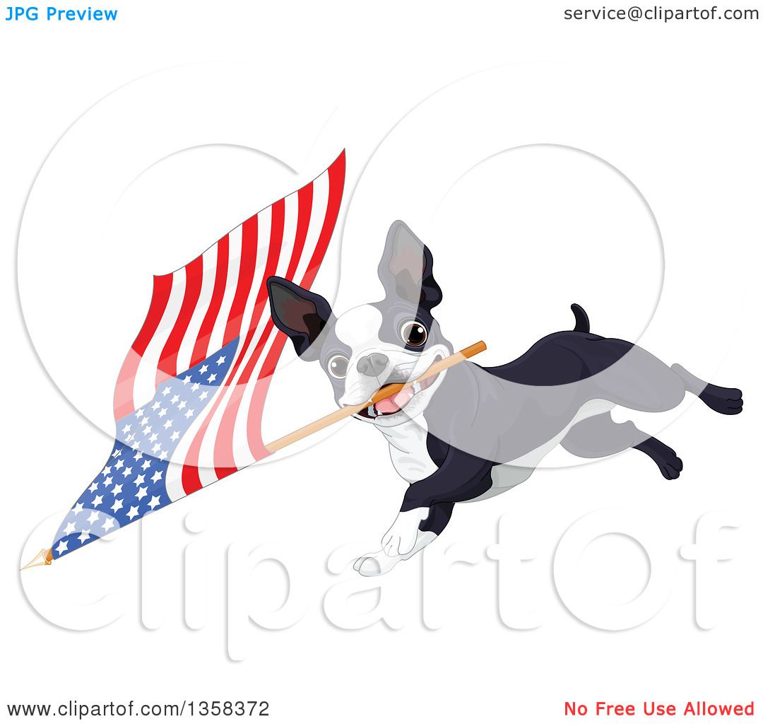 1080x1024 Clipart Of A Cute Boston Terrier Dog Running With An American Flag