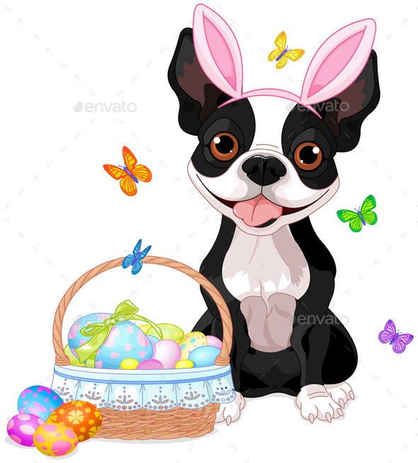 590x652 Boston Terrier Graphics, Designs Amp Templates From Graphicriver