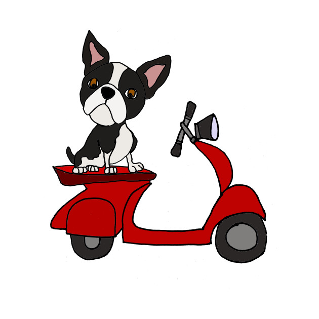 630x630 Cute Boston Terrier Riding Motor Scooter Cartoon