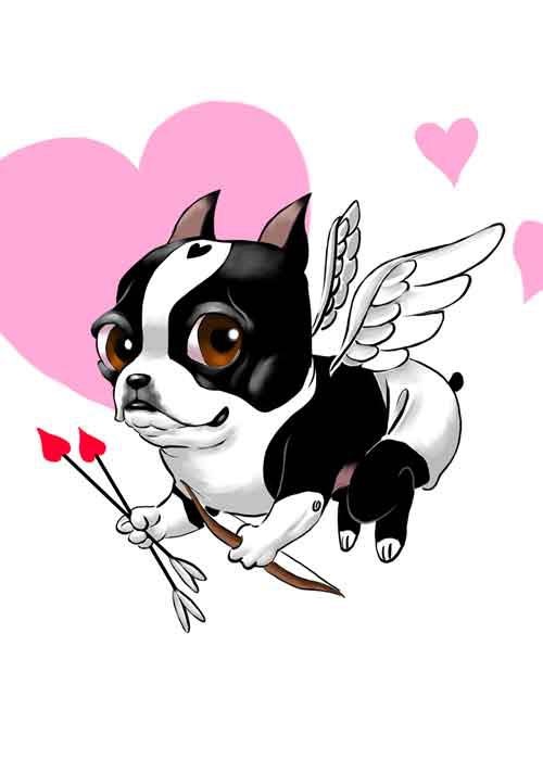 500x700 296 Best Boston Terrier Clipart Images On Boston