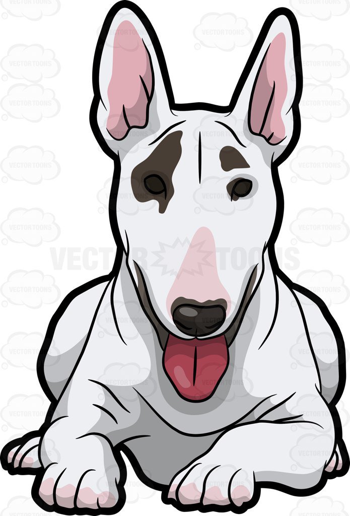 695x1024 English Bull Terrier Clip Art