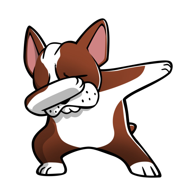 630x630 Fawn Boston Terrier Dabbing