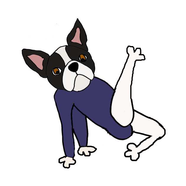630x630 Funny Boston Terrier Dog Doing Floor Exercises