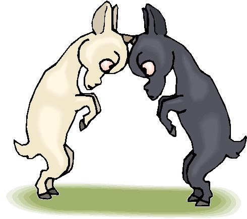 490x435 Goats Clip Art