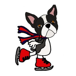 300x300 Humorous Cool Ice Sating Boston Terrier Cartoon
