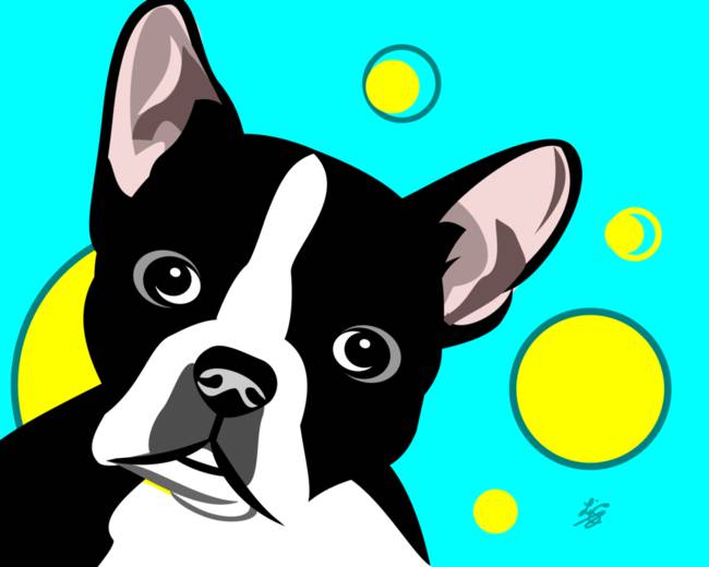 650x520 Stunning Boston Terrier Dog Art Artwork For Sale On Fine Art Prints