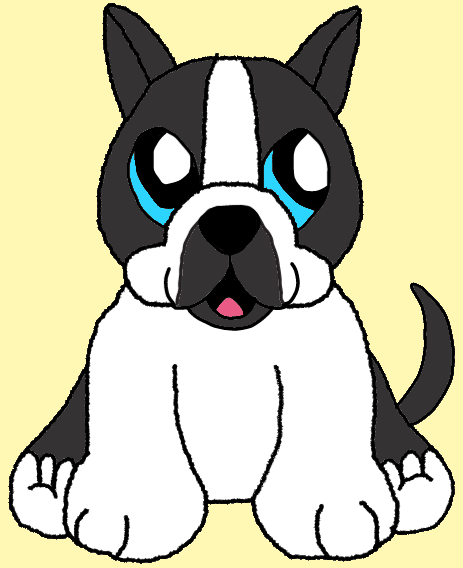 463x568 Webkinz Boston Terrier Drawing By Lpscat123