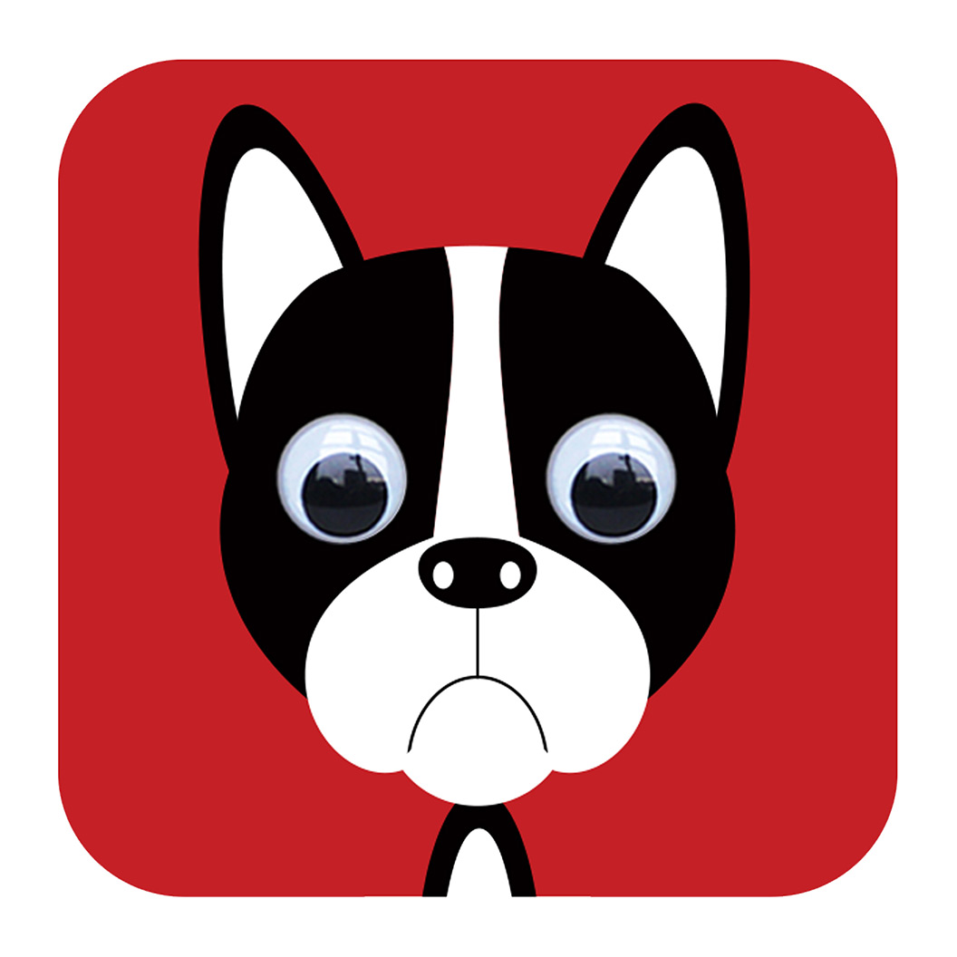 1056x1056 Boris Boston Terrier