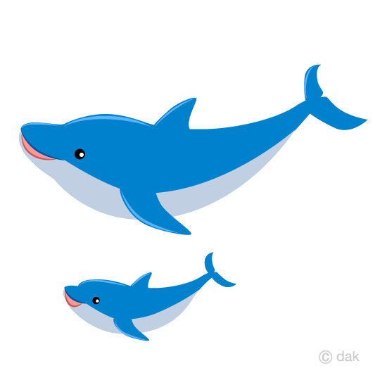 540x540 Free Parent Child Dolphin Cartoon Amp Clipart Amp Graphics
