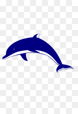260x380 Spinner Dolphin Bottlenose Dolphin Clip Art