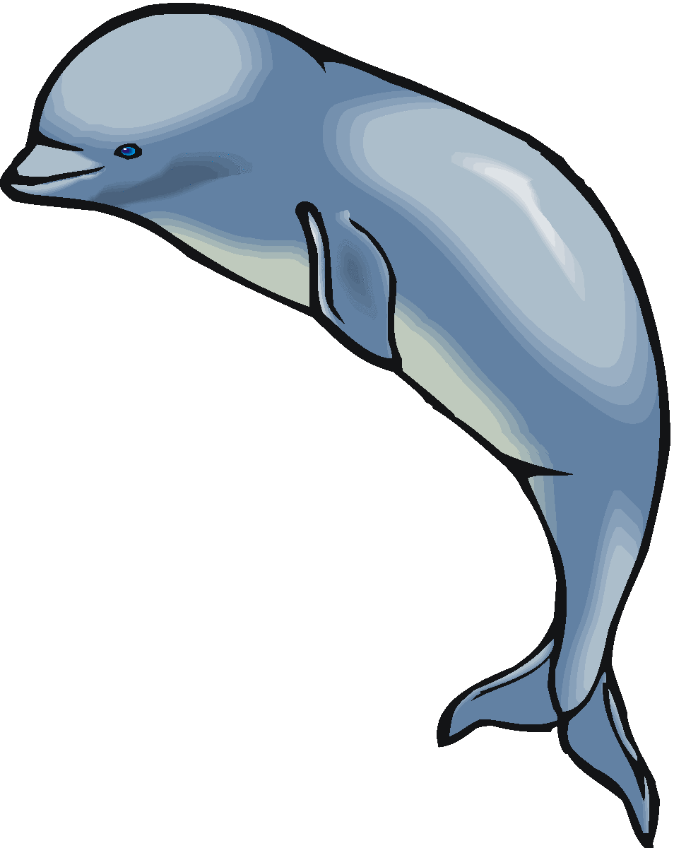 954x1200 Whale Face Cliparts