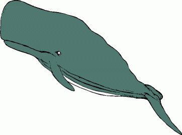 362x268 Whale Clipart And Illustration 2 Whale Clip Art Vector Image 5 4 3