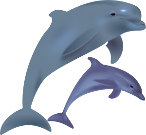300x278 Dolphin Clipart Dolphins Clip Art