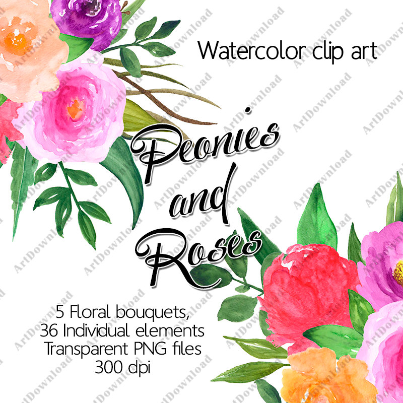 800x800 Flower Clipart