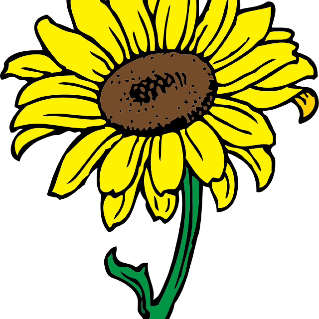 1024x1024 Sunflower Images Clip Art Easter Clipart