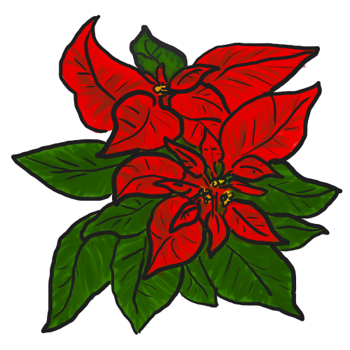 500x500 Bouquet Clipart Poinsettia