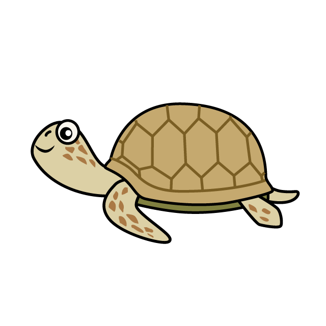 Box Turtle Clipart at GetDrawings | Free download