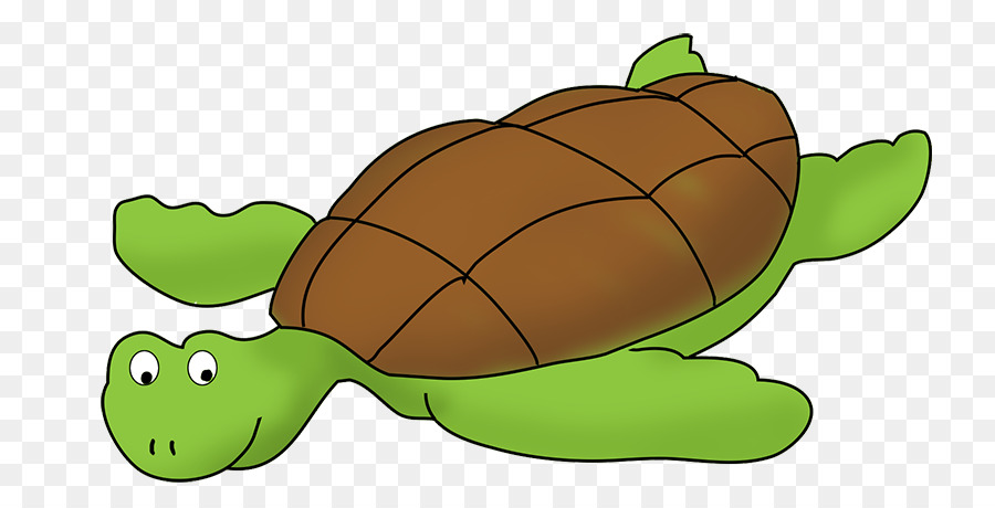 900x460 Sea Turtle Clip Art