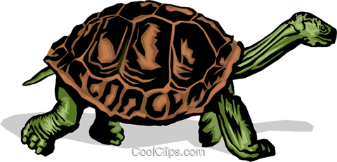 480x231 Tortoise Royalty Free Vector Clip Art Illustration Anim0373