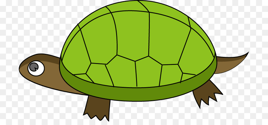 900x420 Turtle Reptile Tortoise Clip Art