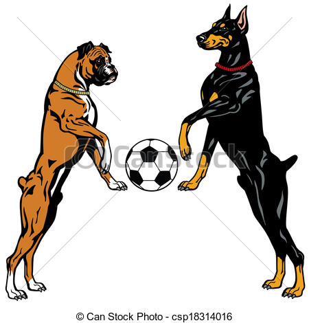 450x470 Dogs Doberman And Boxer Breeds, Illustration Isolated On Vector
