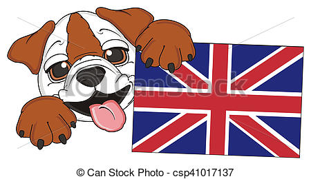 450x260 Puppy Of English Bulldog. King Muzzle Of Bulldog Peek Up