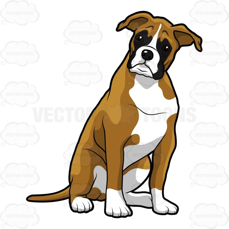 800x800 Boxer Cartoon Dog