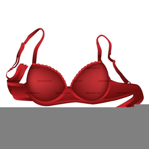 300x300 Clipart Bra Free Images