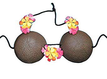 342x252 260848 Coconut Bra With Flower Petals Made From Foam