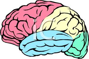 300x198 Clip Art Image The Human Brain
