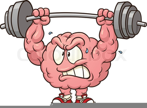 300x221 Royalty Free Brain Clipart Free Images