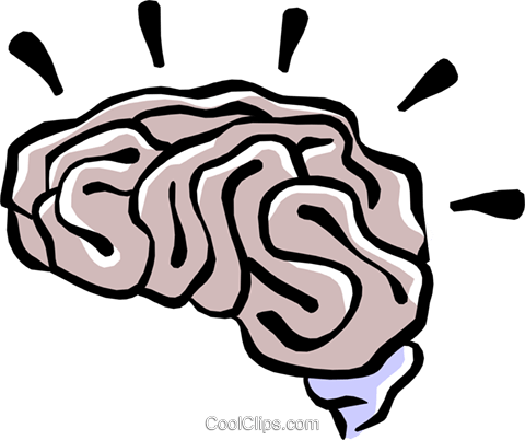 480x402 Human Brain Royalty Free Vector Clip Art Illustration Medi0321