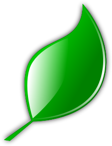 228x295 Superman Was Bald Alopecia Areata, Or Hair Loss, Can Affect Even