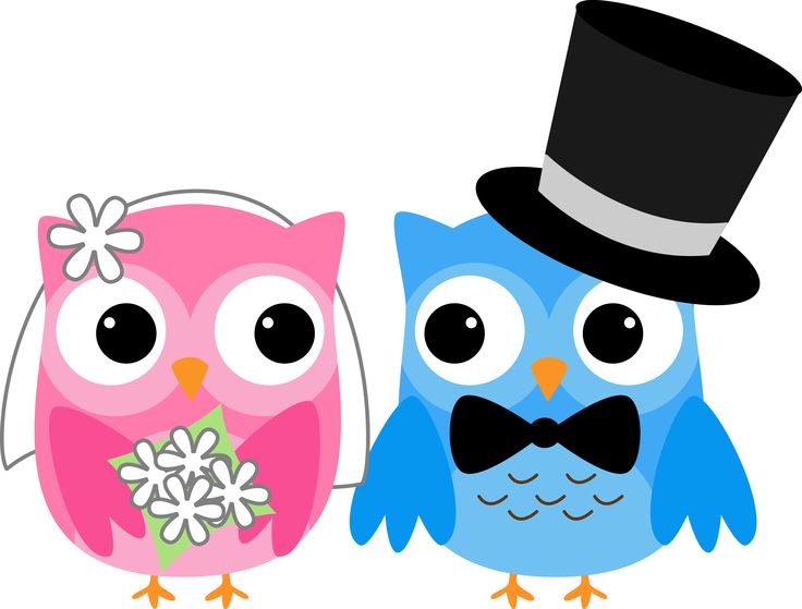 736x559 Digital Owl Bride And Groom Clipart