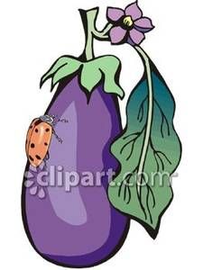 225x300 Eggplant Free Png Clip Art Image Clipart Art