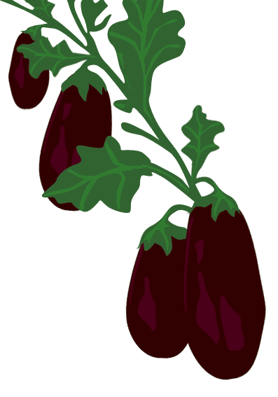 397x567 Free To Use Public Domain Eggplant Clip Art