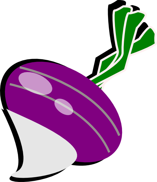 516x599 Turnip Clipart