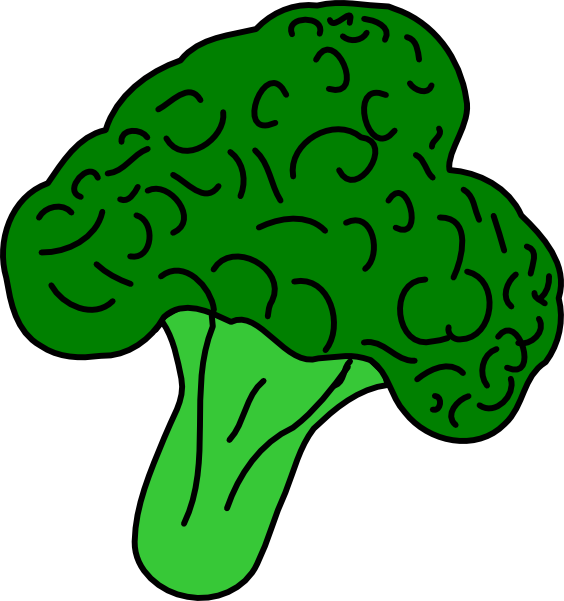 564x601 Broccoli Clip Art Free Vector 4vector