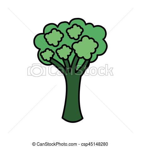 450x470 Colorful Vegetable Broccoli Icon, Vector Illustraction Vector
