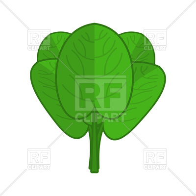 400x400 Spinach Green Leaves Royalty Free Vector Clip Art Image